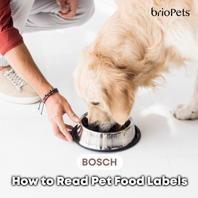 How to Read Pet Food Labels