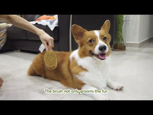 Load and play video in Gallery viewer, Lila Loves It Double-Sided Dog Brush
